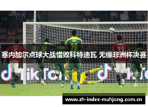 塞内加尔点球大战惜败科特迪瓦 无缘非洲杯决赛 塞内加尔点球大战惜败科特迪瓦 无缘非洲杯决赛